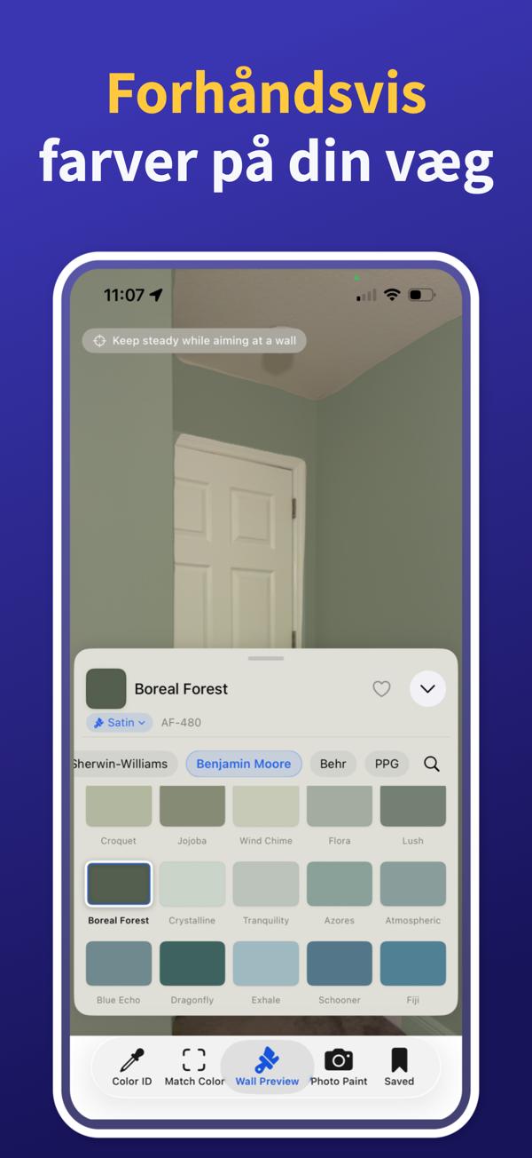 Paint Color Match & Preview additional feature view
