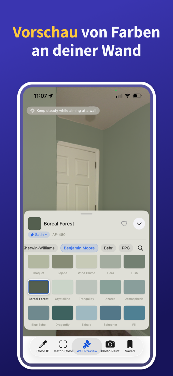 Paint Color Match & Preview additional feature view