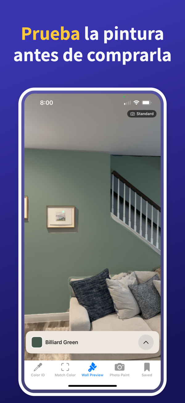 Paint Color Match & Preview app showing live color identification feature