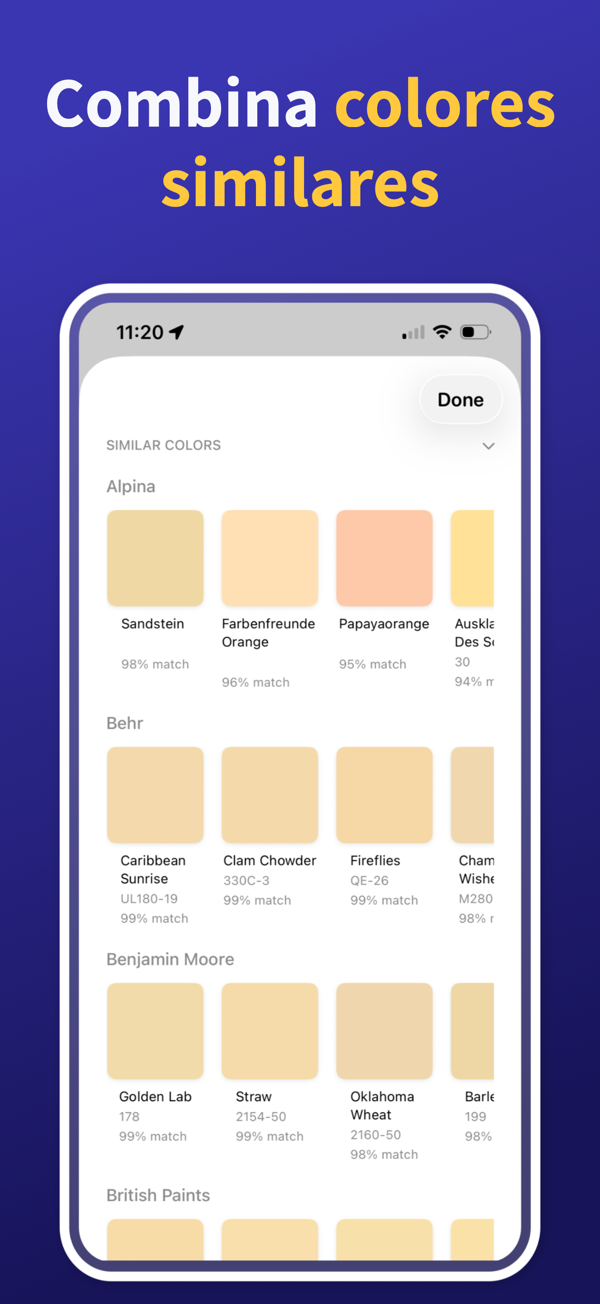 Paint Color Match & Preview additional feature view