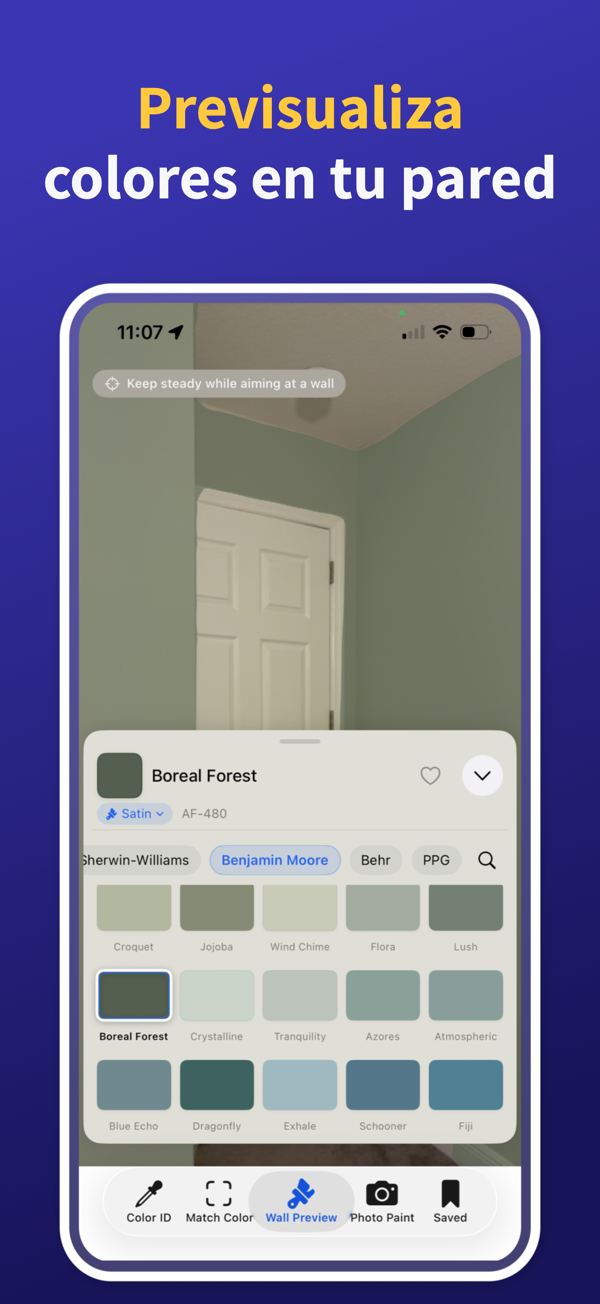 Paint Color Match & Preview additional feature view