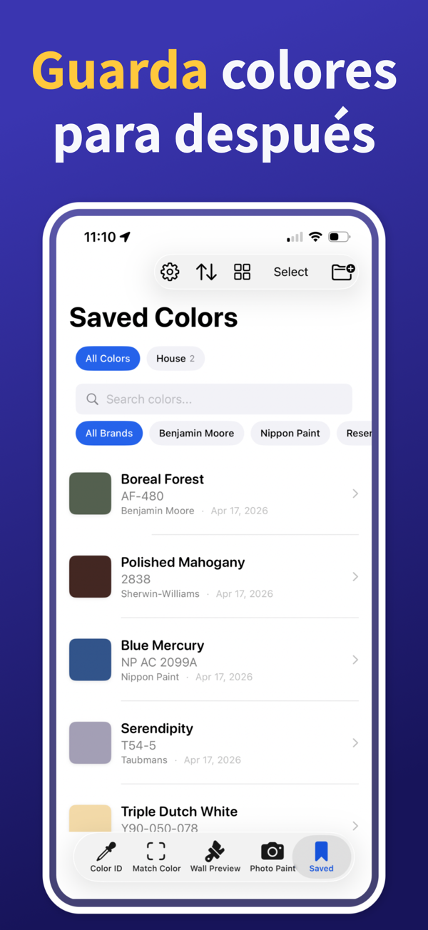 Paint Color Match & Preview additional feature view