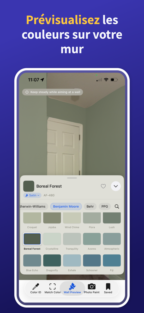 Paint Color Match & Preview additional feature view