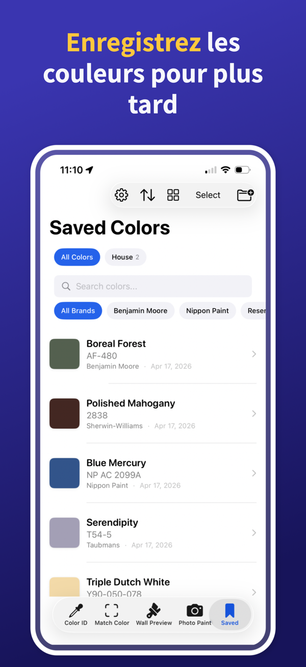 Paint Color Match & Preview additional feature view