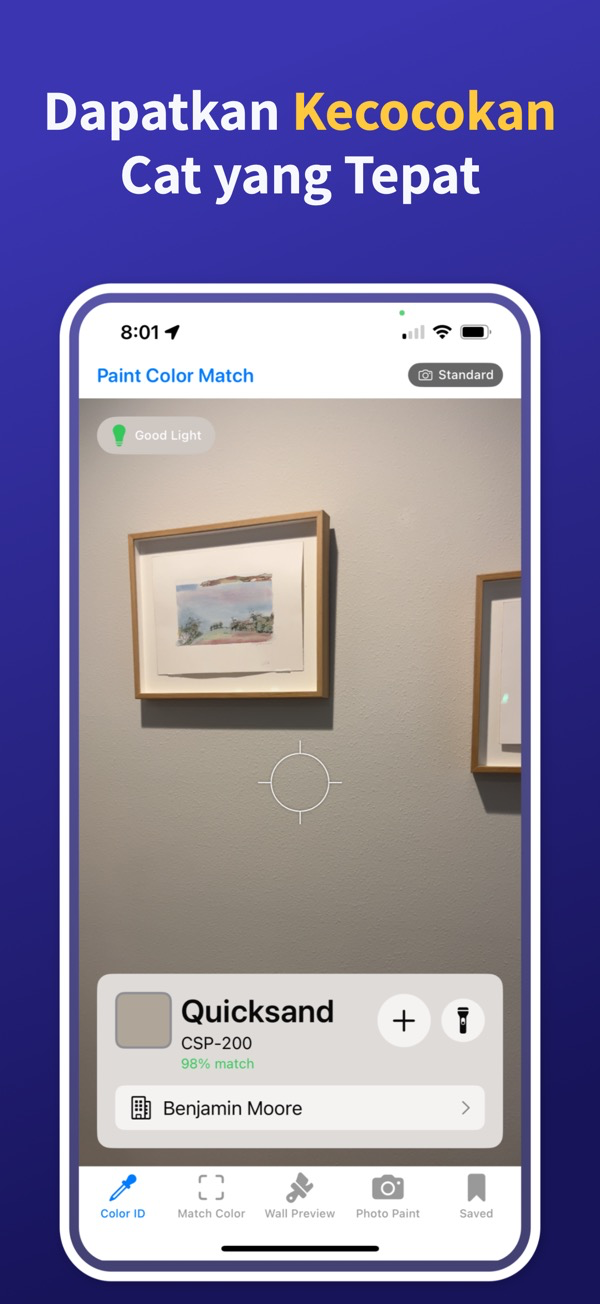 Paint Color Match & Preview color identification interface