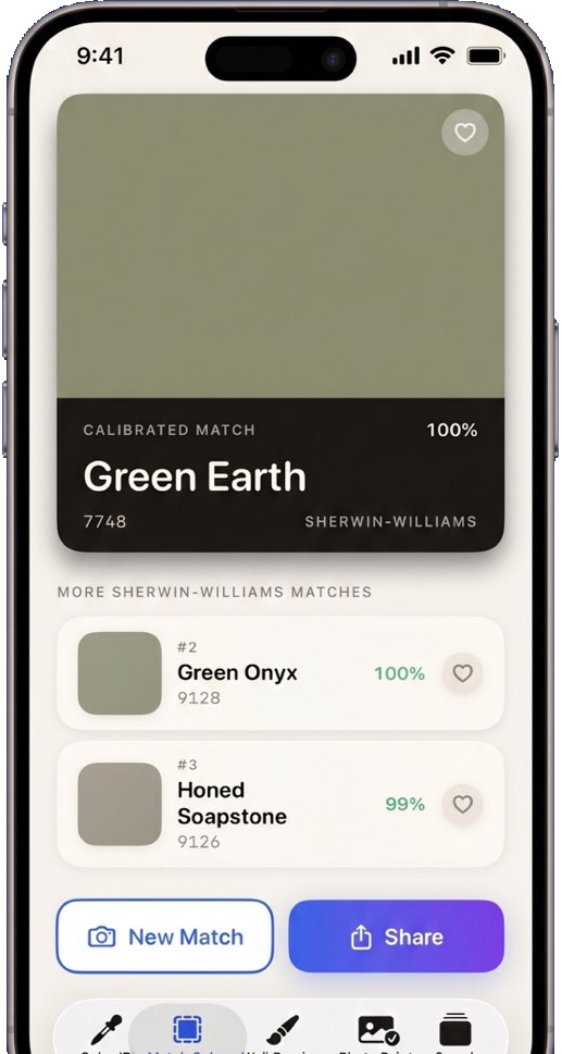 Paint Color Match