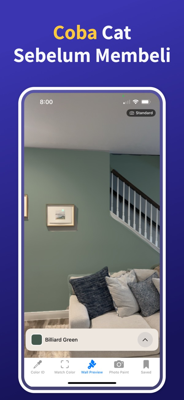 Paint Color Match & Preview app showing live color identification feature