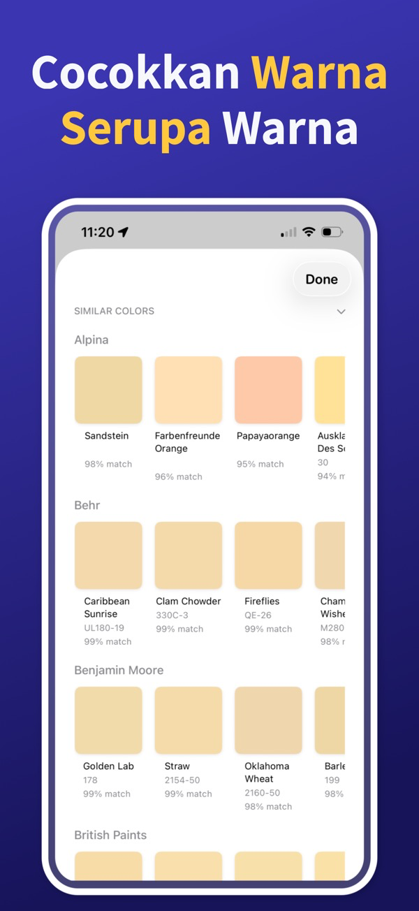 Paint Color Match & Preview additional feature view