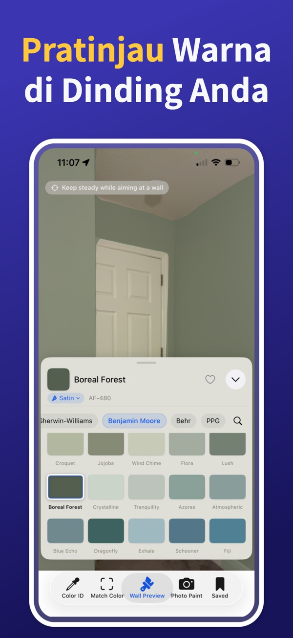 Paint Color Match & Preview additional feature view
