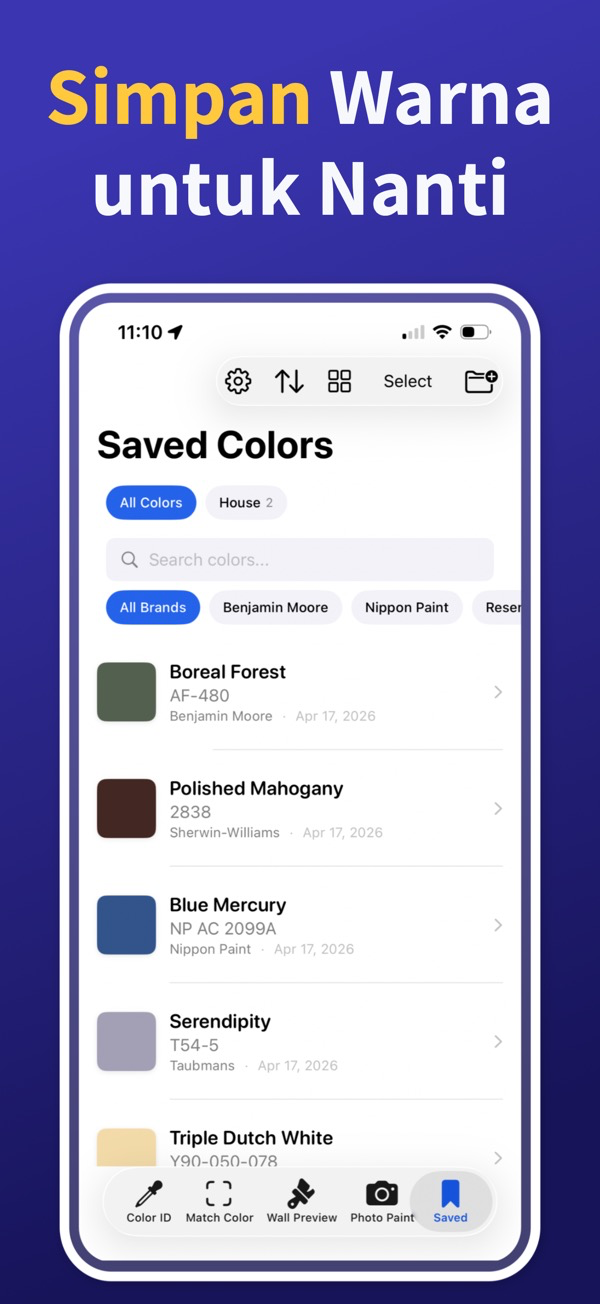 Paint Color Match & Preview additional feature view