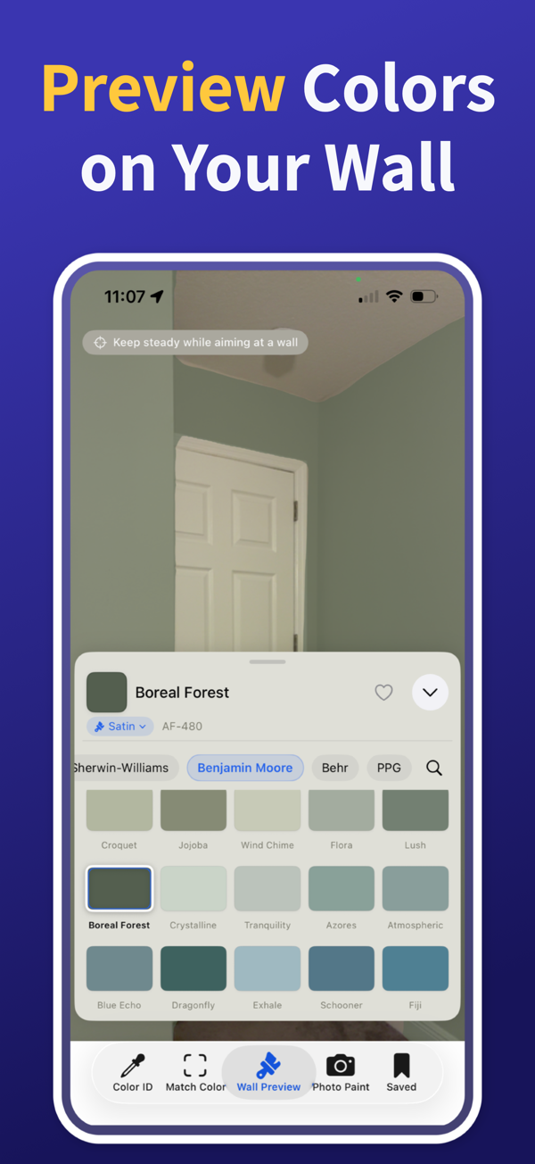 Paint Color Match & Preview additional feature view