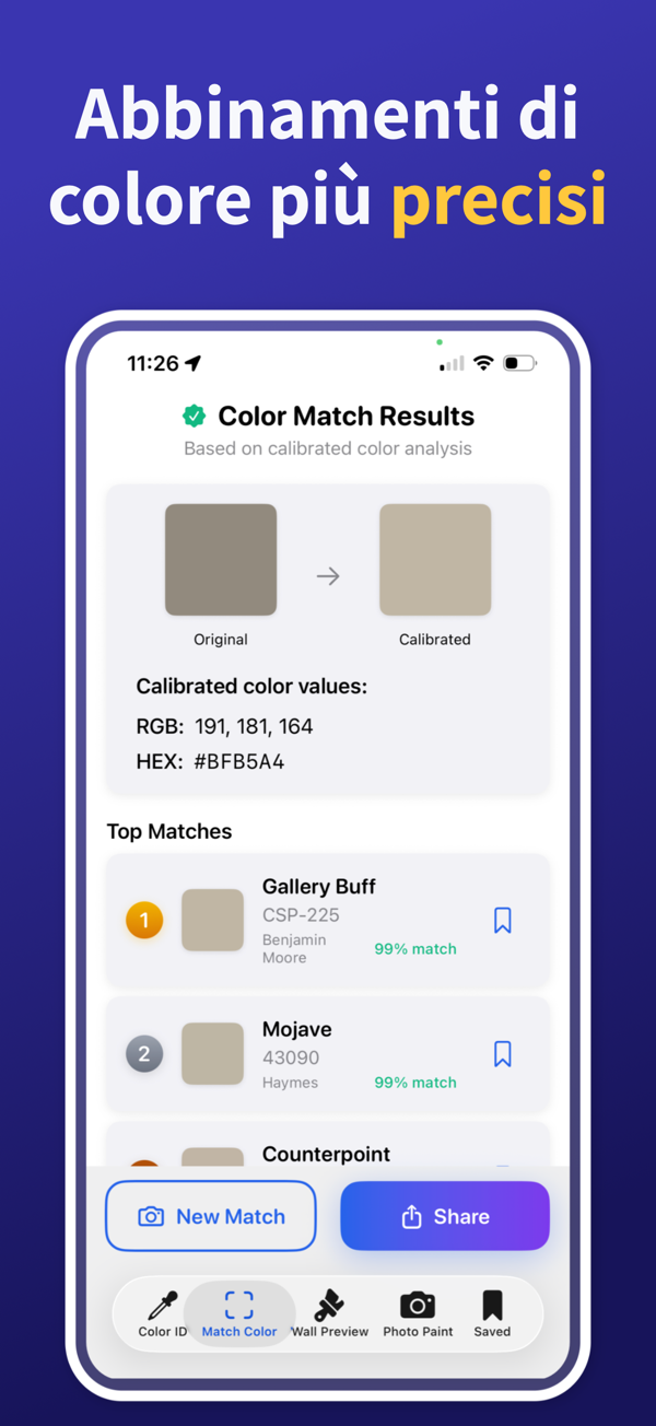 Paint Color Match & Preview additional feature view