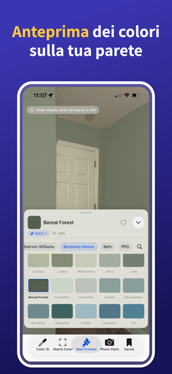 Paint Color Match & Preview additional feature view
