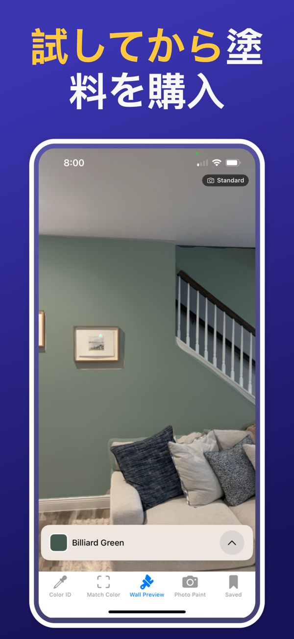 Paint Color Match & Preview app showing live color identification feature
