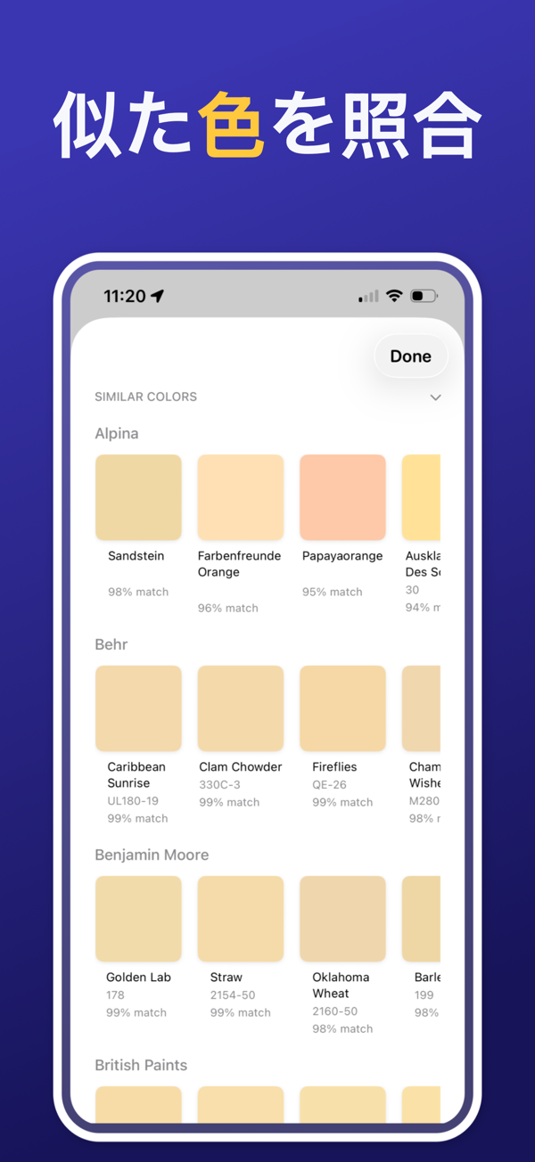 Paint Color Match & Preview additional feature view