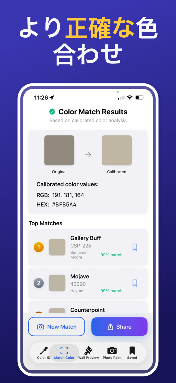 Paint Color Match & Preview additional feature view