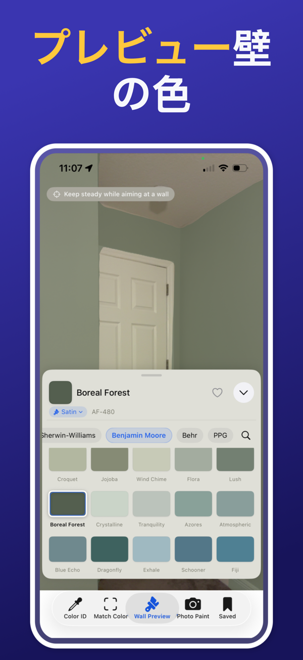 Paint Color Match & Preview additional feature view