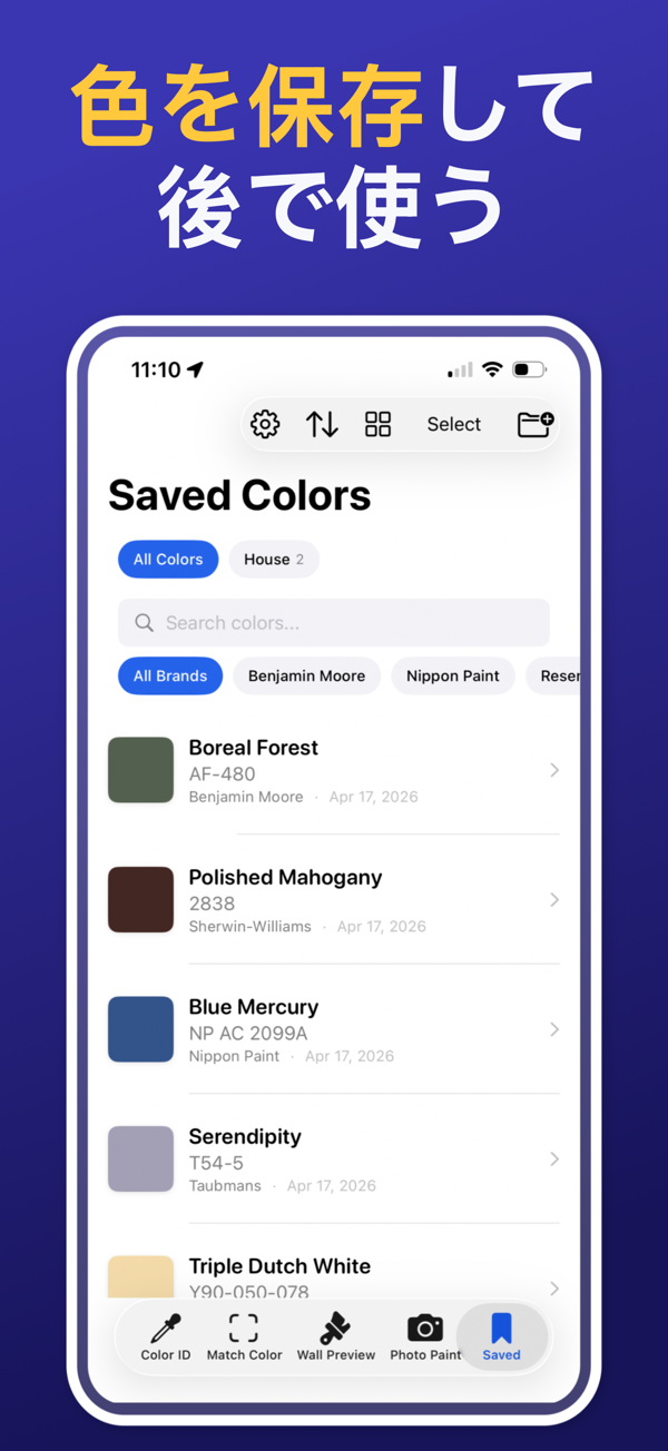 Paint Color Match & Preview additional feature view