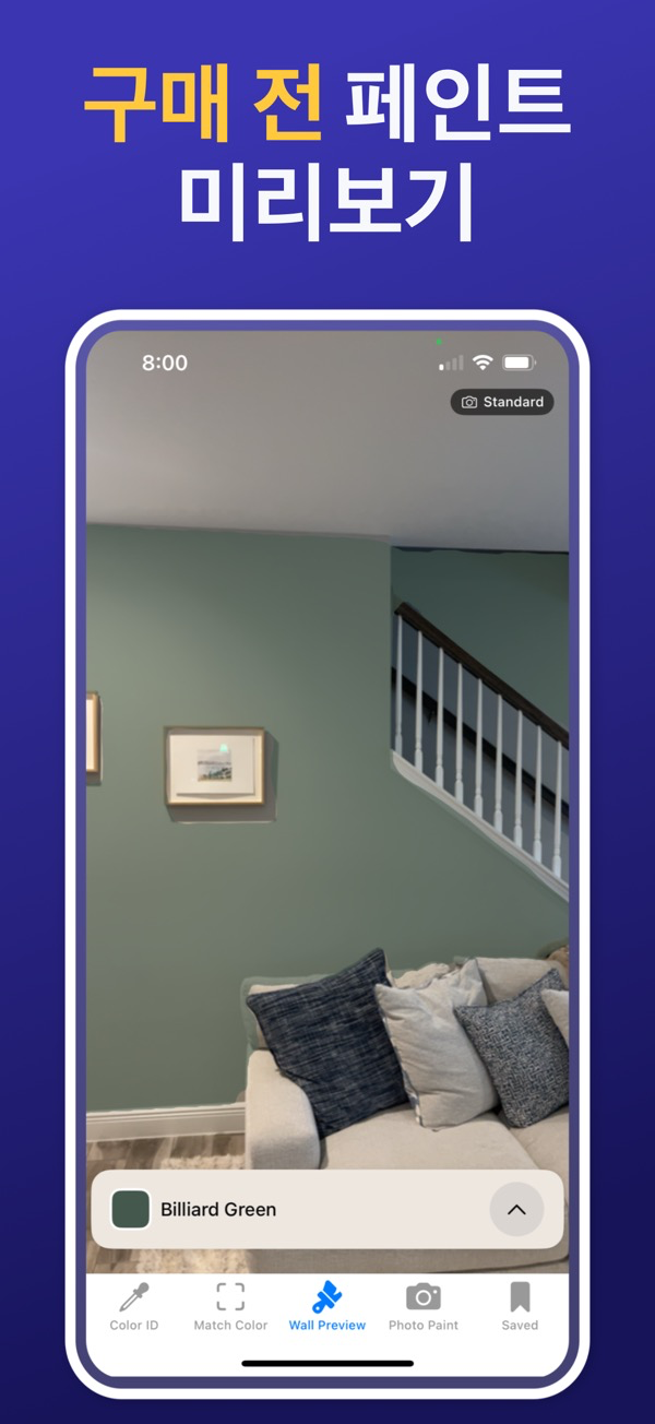 Paint Color Match & Preview app showing live color identification feature