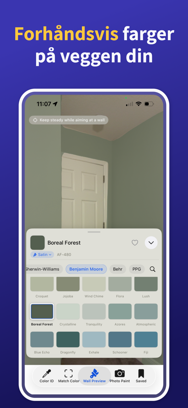 Paint Color Match & Preview additional feature view