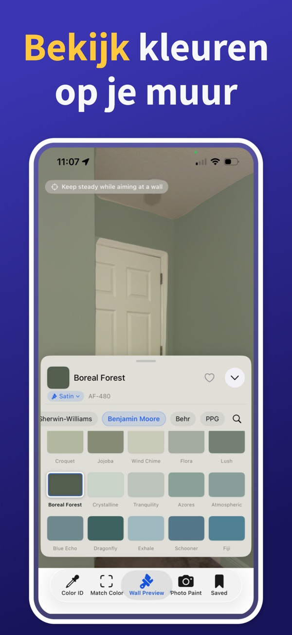 Paint Color Match & Preview additional feature view