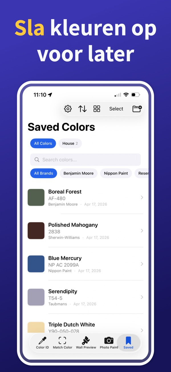 Paint Color Match & Preview additional feature view
