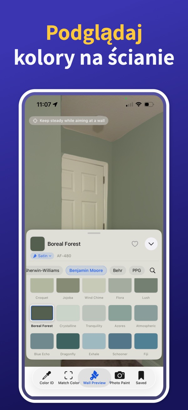 Paint Color Match & Preview additional feature view