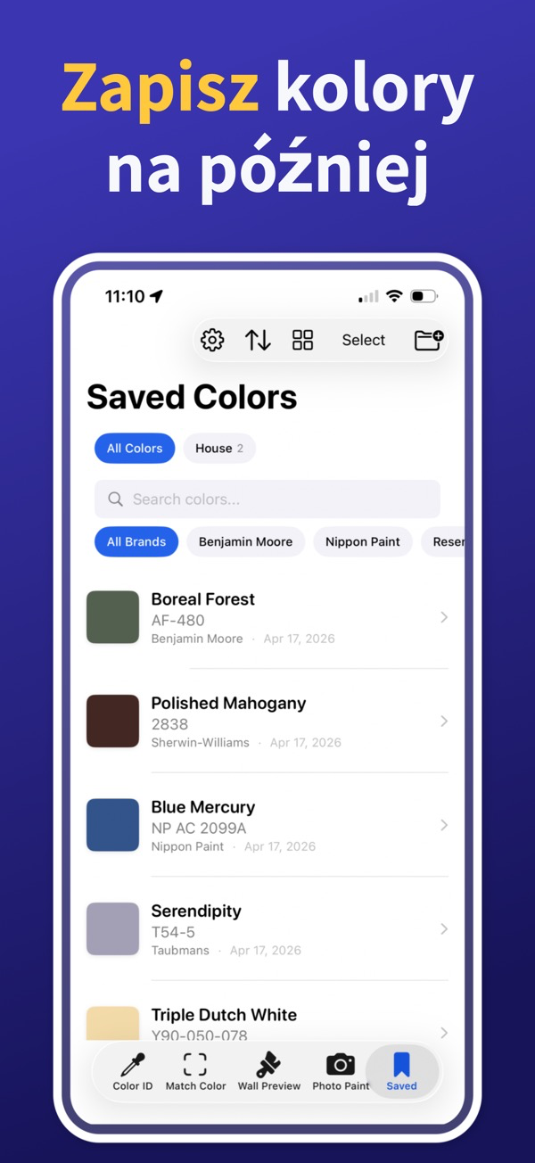 Paint Color Match & Preview additional feature view