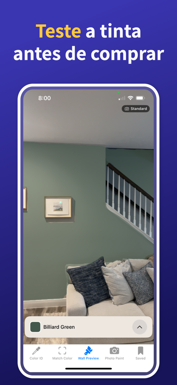 Paint Color Match & Preview app showing live color identification feature