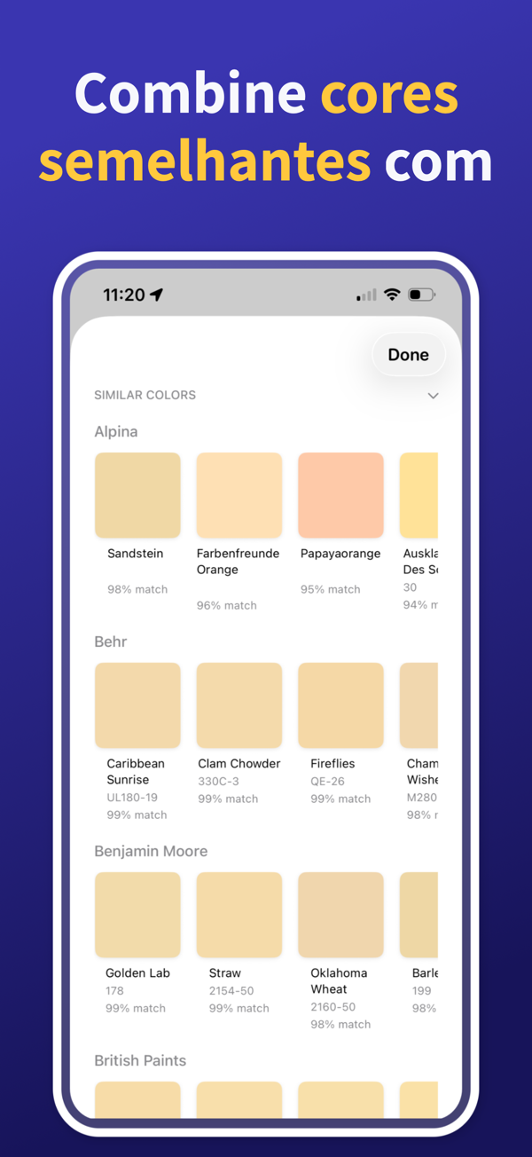 Paint Color Match & Preview additional feature view