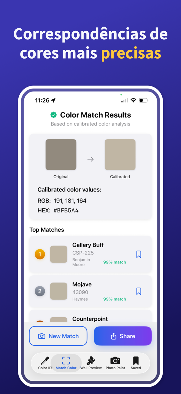 Paint Color Match & Preview additional feature view