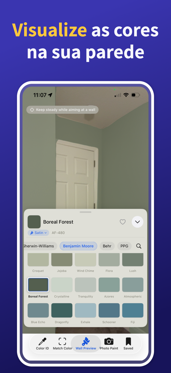 Paint Color Match & Preview additional feature view