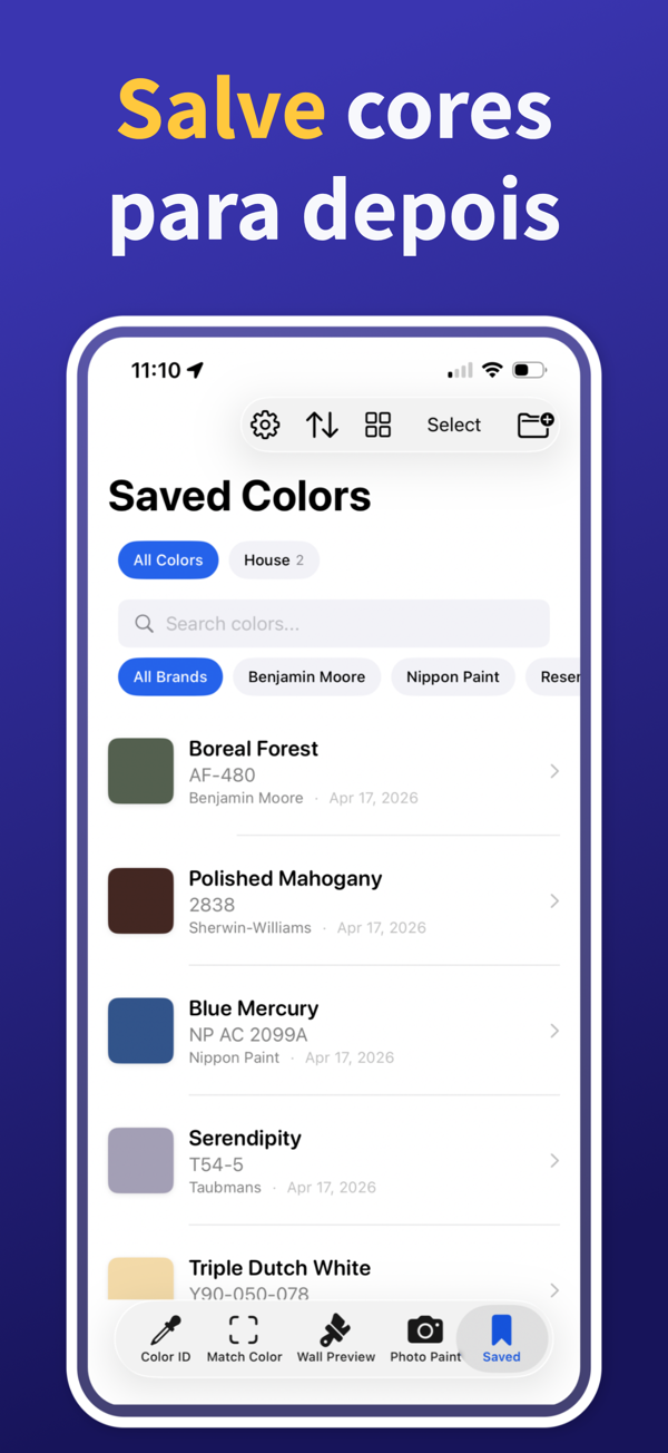 Paint Color Match & Preview additional feature view