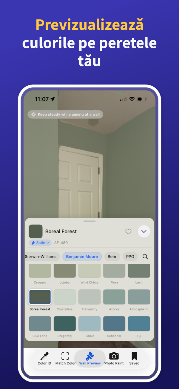 Paint Color Match & Preview additional feature view