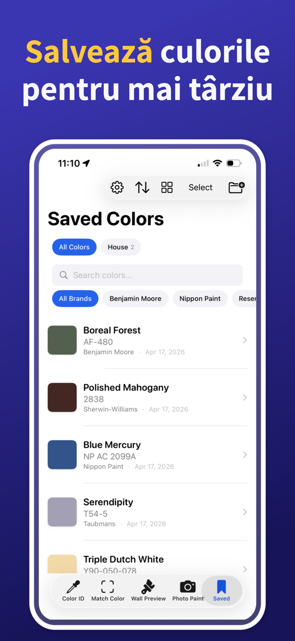Paint Color Match & Preview additional feature view