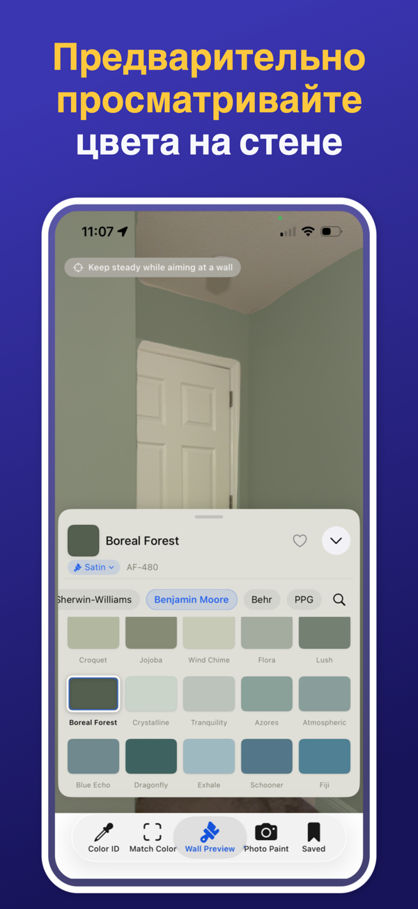 Paint Color Match & Preview additional feature view