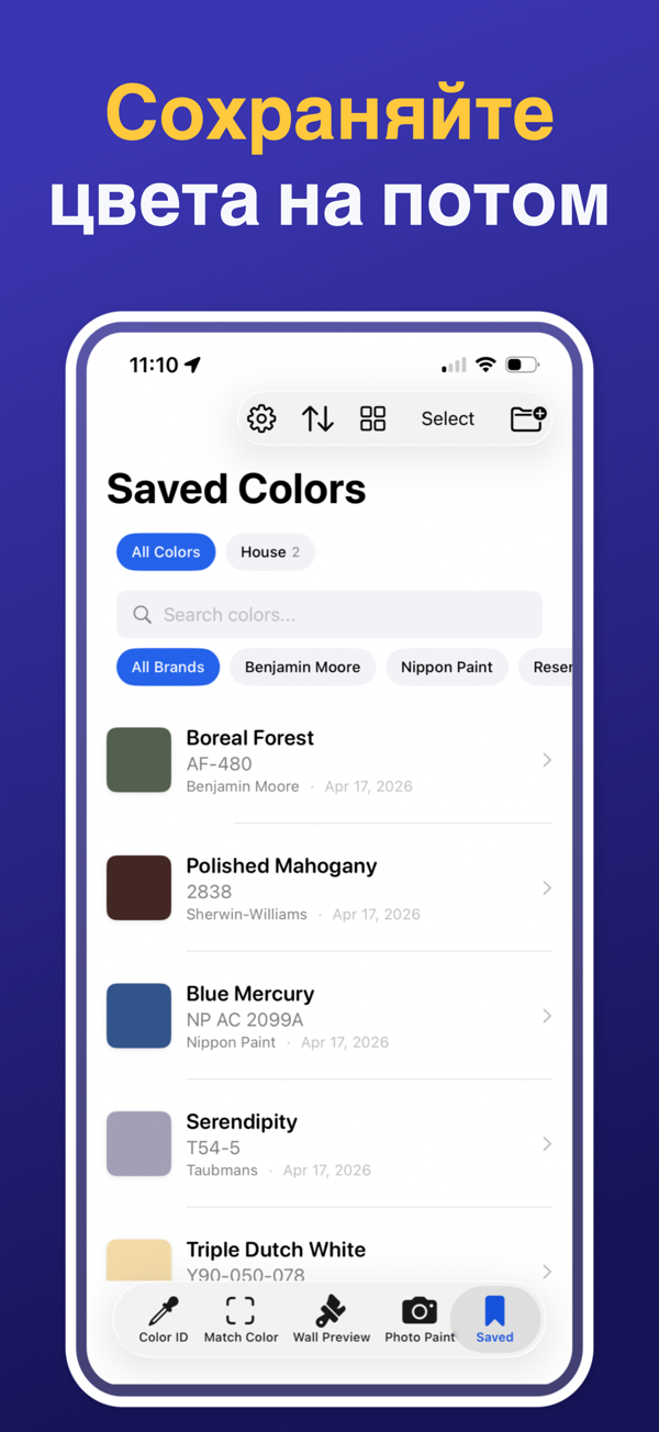 Paint Color Match & Preview additional feature view