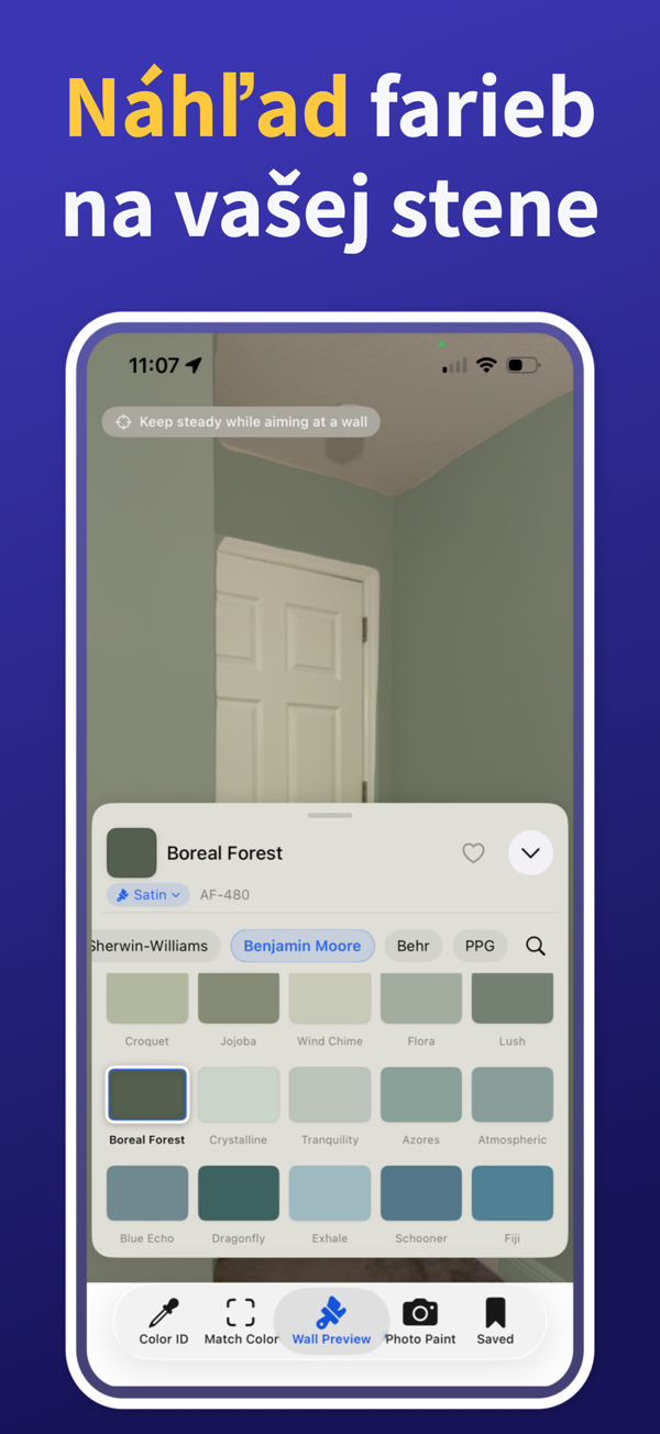 Paint Color Match & Preview additional feature view