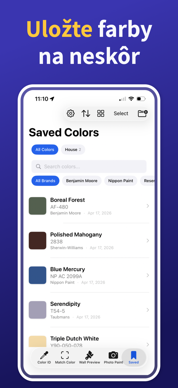 Paint Color Match & Preview additional feature view