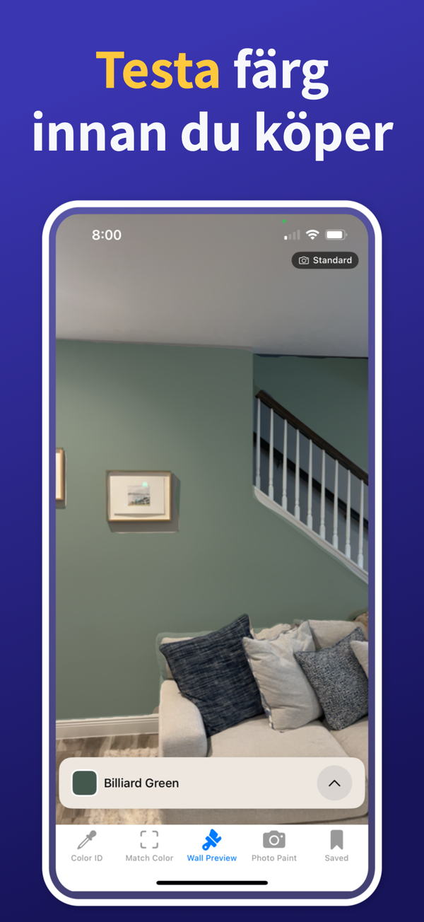 Paint Color Match & Preview app showing live color identification feature