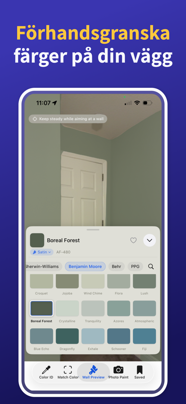 Paint Color Match & Preview additional feature view