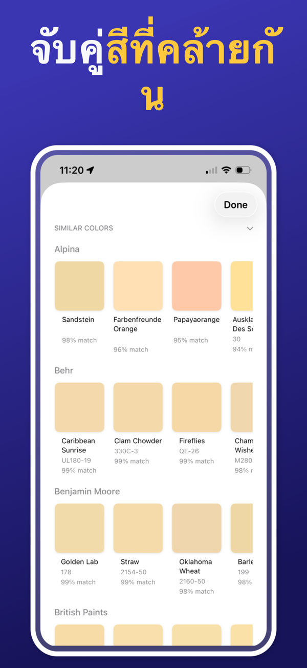 Paint Color Match & Preview additional feature view