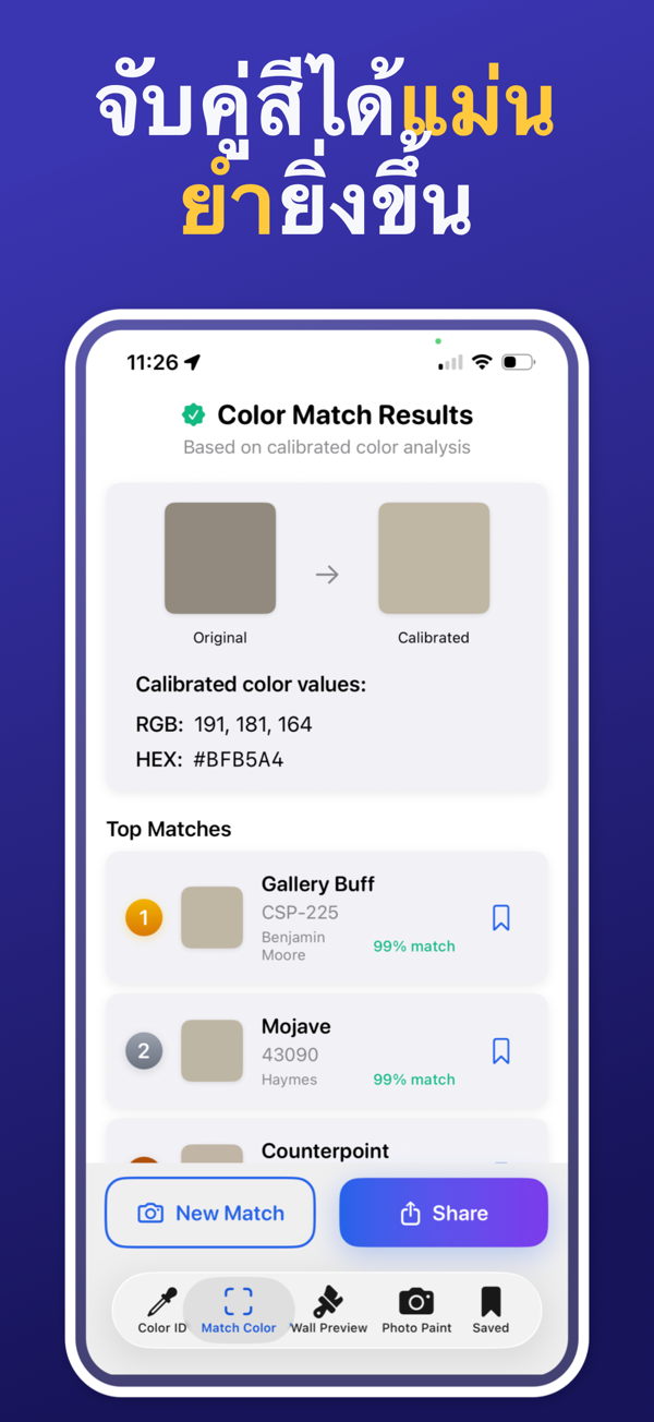 Paint Color Match & Preview additional feature view