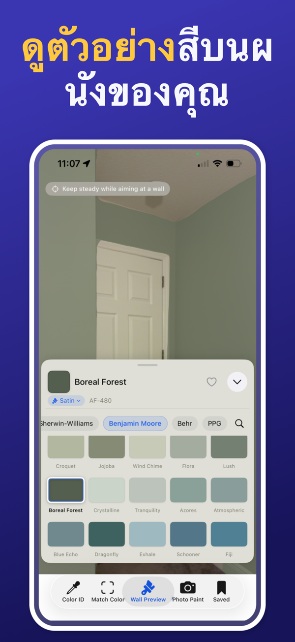 Paint Color Match & Preview additional feature view