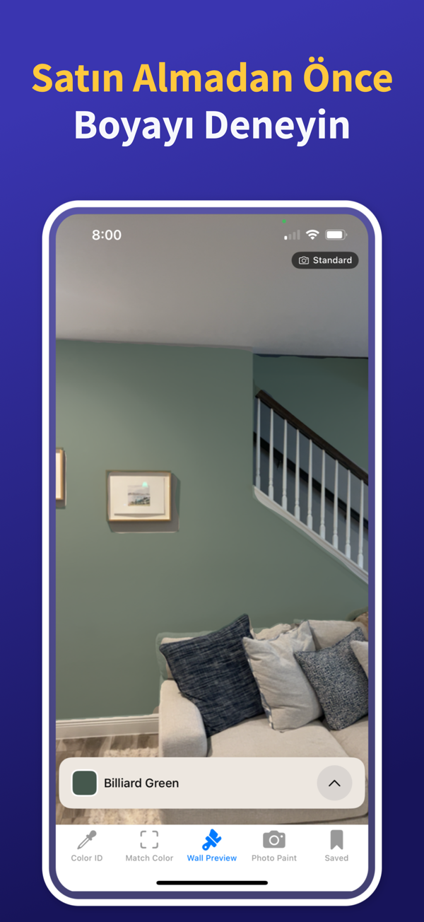 Paint Color Match & Preview app showing live color identification feature