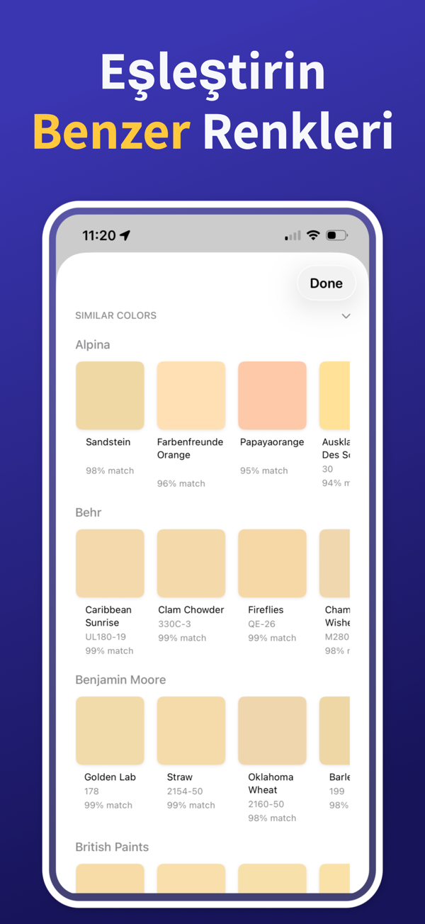Paint Color Match & Preview additional feature view