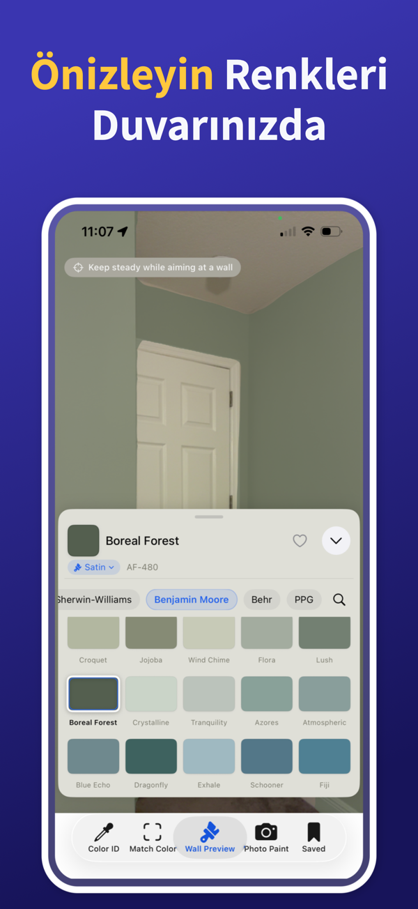 Paint Color Match & Preview additional feature view
