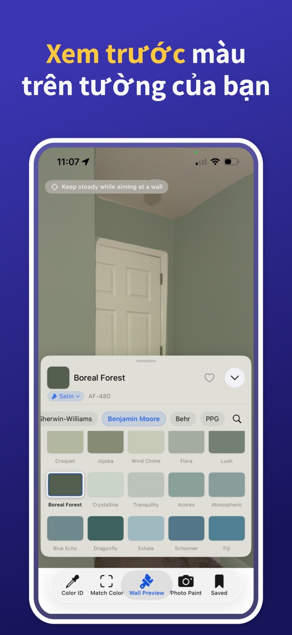 Paint Color Match & Preview additional feature view