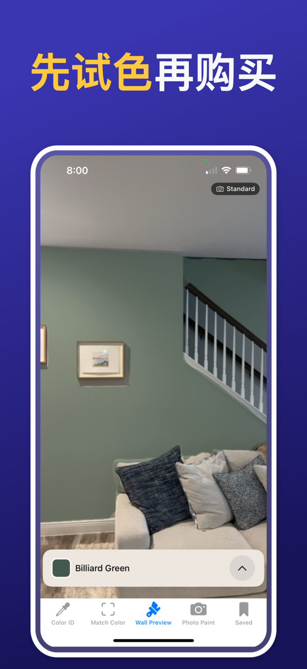 Paint Color Match & Preview app showing live color identification feature