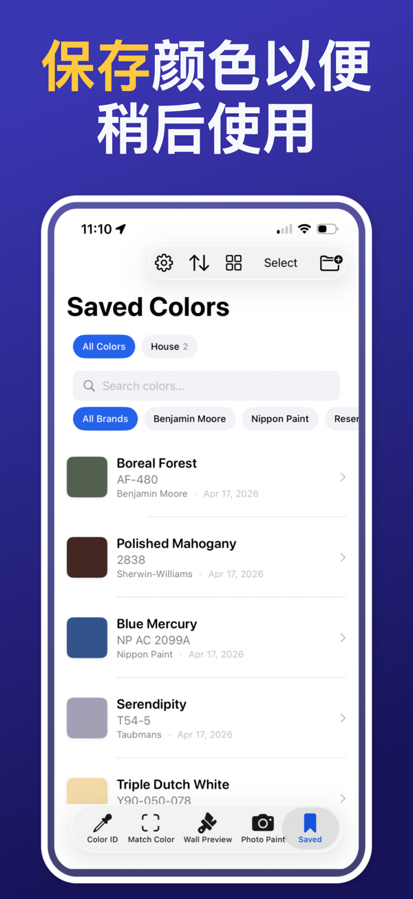Paint Color Match & Preview additional feature view